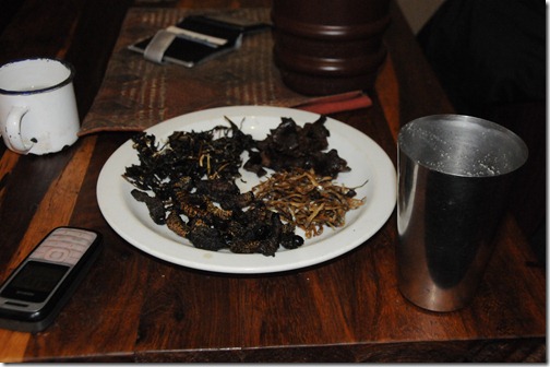 Zimbabwean Meal of Caterpillars, Worms, and Grubs