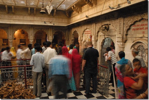Inside the Karni Mata Temple (Rat Temple) near Bikaner, Rajasthan, India
