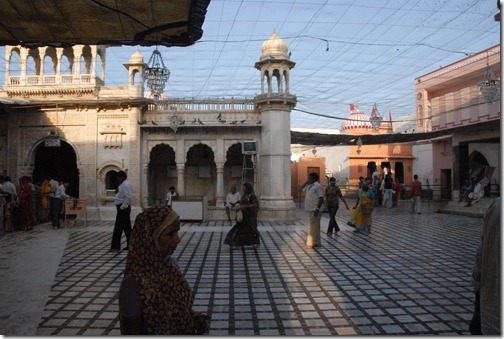 Inside the Karni Mata Temple (Rat Temple) near Bikaner, Rajasthan, India