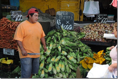Patronato market, Santiago, Chile