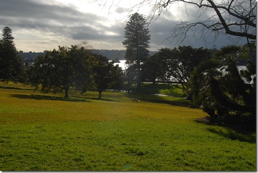 The Sydney Domain, Sydney, Australia