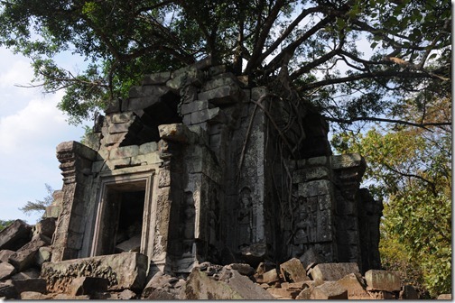Tree growing from a tower at in the temple of Beng Mealea, Cambodia