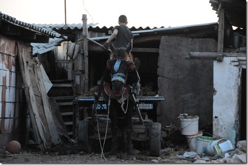 Horse and cart in Šuto Orizari (Шуто Оризари,) FYRO Macedonia - The largest Romani (Gypsy) Community in the world