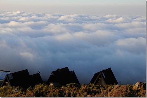 Above the clouds at Horombo Huts, Mt. Kilimanjaro, Tanzania