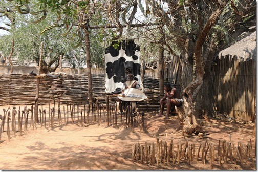 Shield and spear demonstrations in Shakaland, South Africa