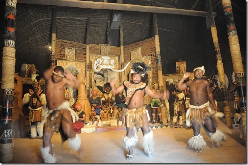 Zulu Warriors dancing in the main lodge of Shakaland in South Africa