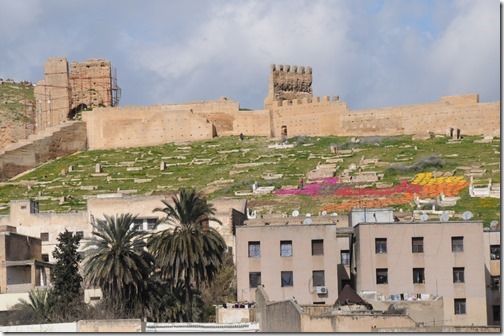 Dyed leather from the tanneries drying on the hillside in Fes, Morocco
