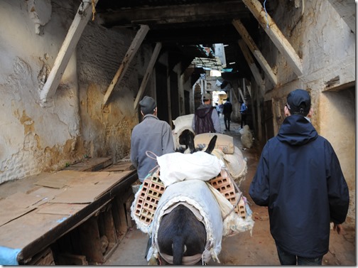 Mule carrying bricks through the narrow alleyways of the car-free Medina in Fes, Morocco